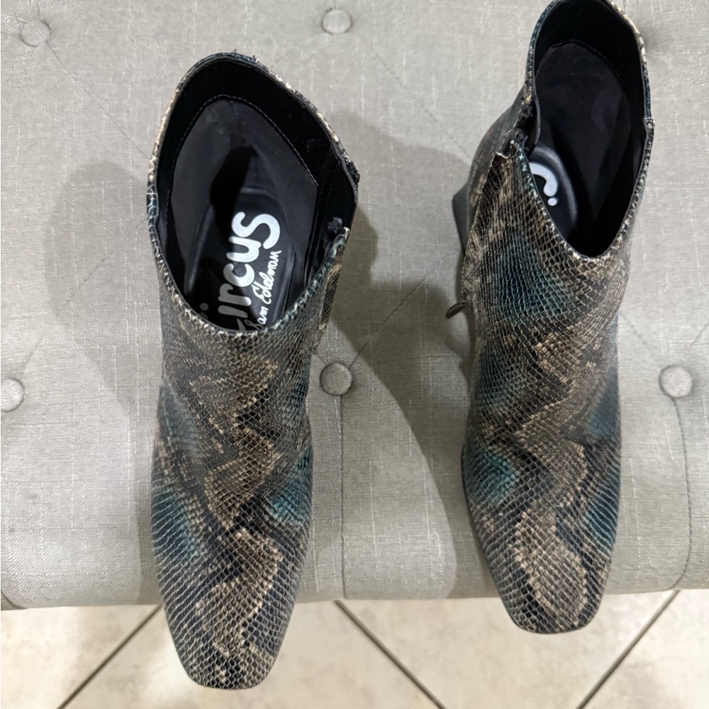 Circus by Sam Edelman Multicolor Snake Print Boots